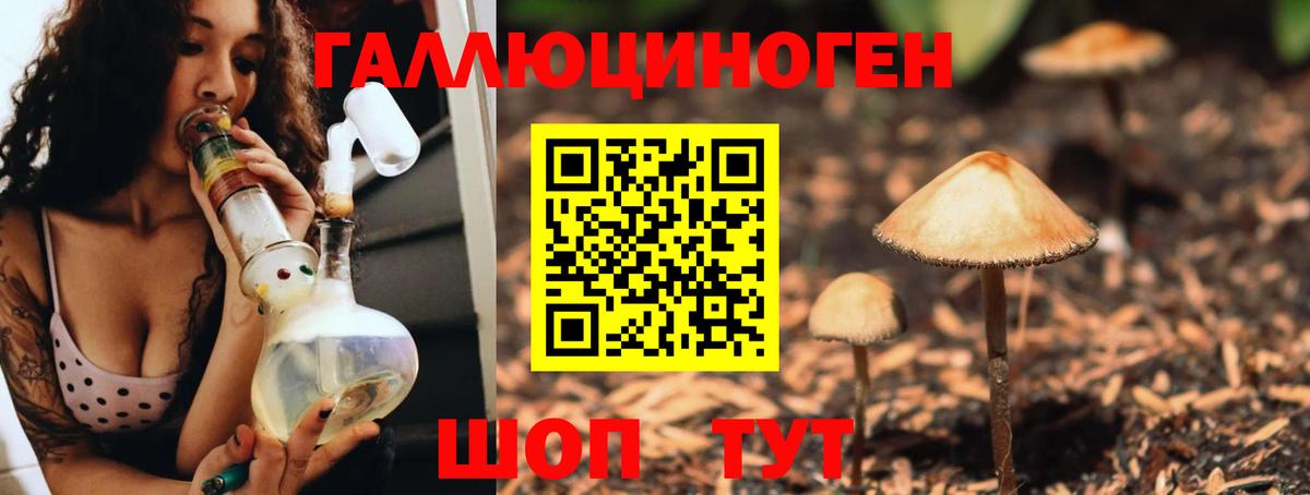 Псилоцибиновые грибы GOLDEN TEACHER Усть-Джегута