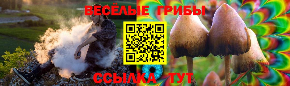 Псилоцибиновые грибы Cubensis  Вход с VPN  Усть-Джегута 