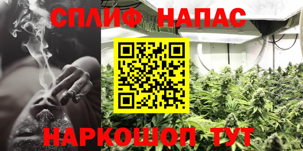 Канабис план Усть-Джегута